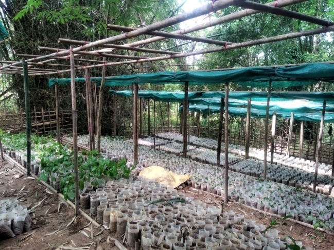 F:\Projects\Saka Boldamgre photos\IMG_20210727_100602.jpg